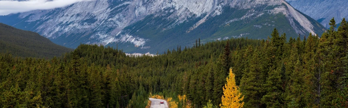 Hit the Road: Exciting Road Trips from Calgary